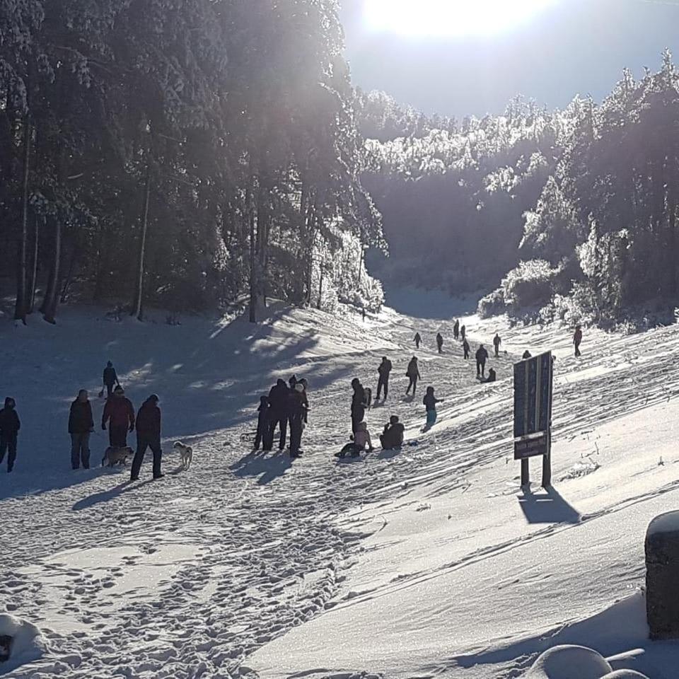 Hotel Snjezna Kuca - Nature Park Of Bosnia Herzegovina Padezina Exteriör bild