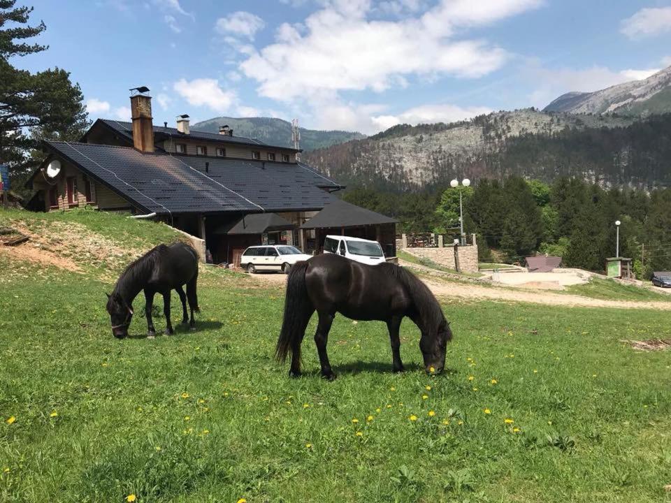 Hotel Snjezna Kuca - Nature Park Of Bosnia Herzegovina Padezina Exteriör bild