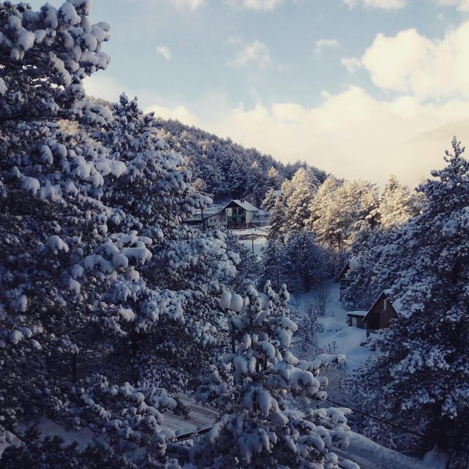 Hotel Snjezna Kuca - Nature Park Of Bosnia Herzegovina Padezina Exteriör bild